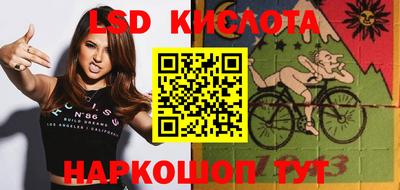 бошки Шелехов