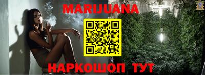 бошки Шелехов