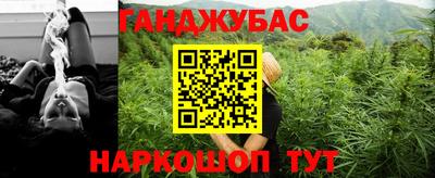 бошки Шелехов