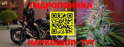 дживик Шебекино