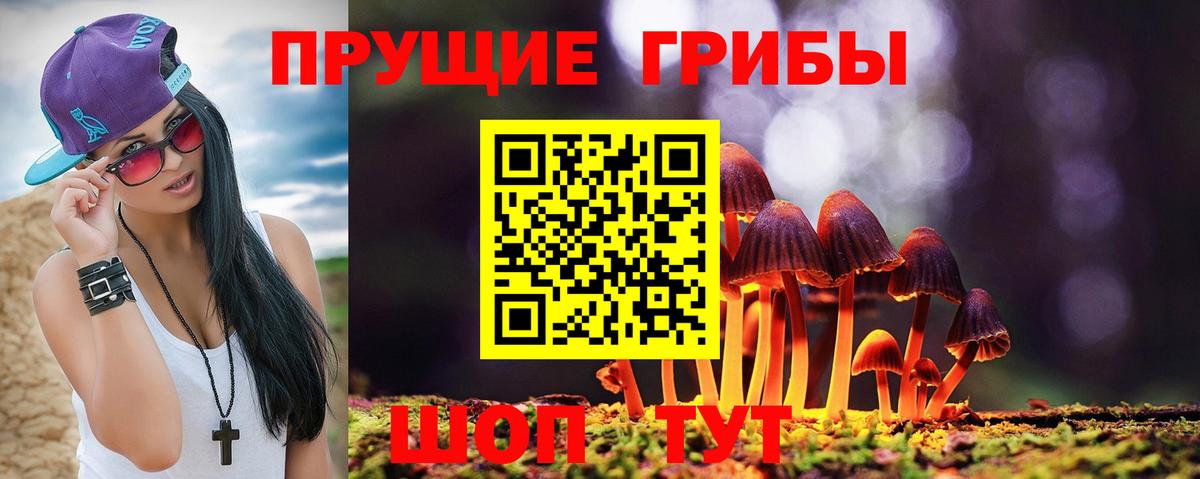 Псилоцибиновые грибы прущие грибы  Галлюциногенные грибы MAGIC MUSHROOMS  Вход с VPN  Ахтубинск 
